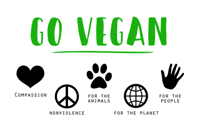 Hoe krijg ik genoeg eiwitten binnen als veganist